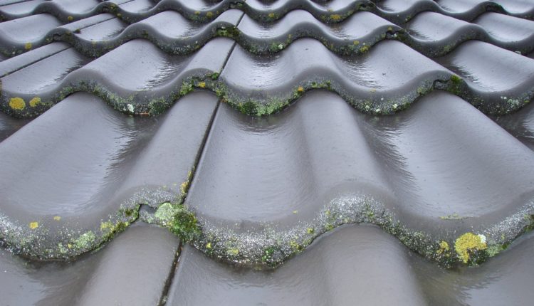 Algebehandling i Næstved