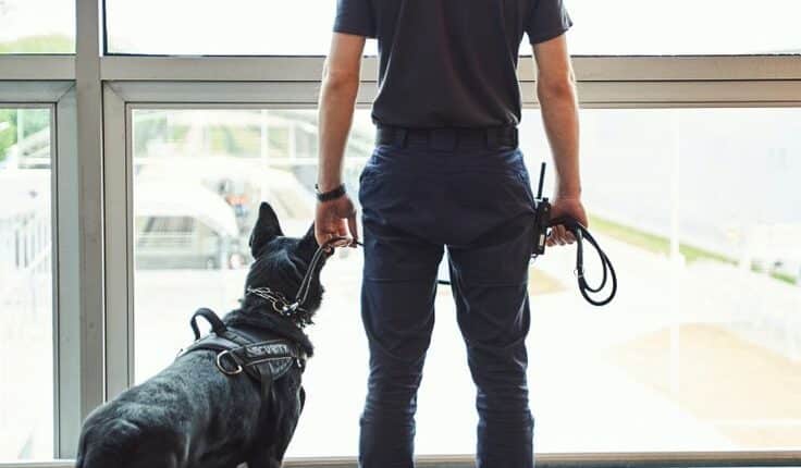 Unarmed security guards