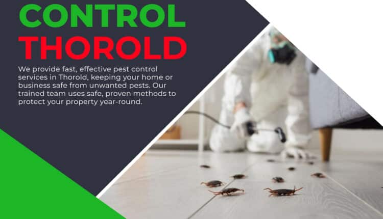 Pest Control Newmarket