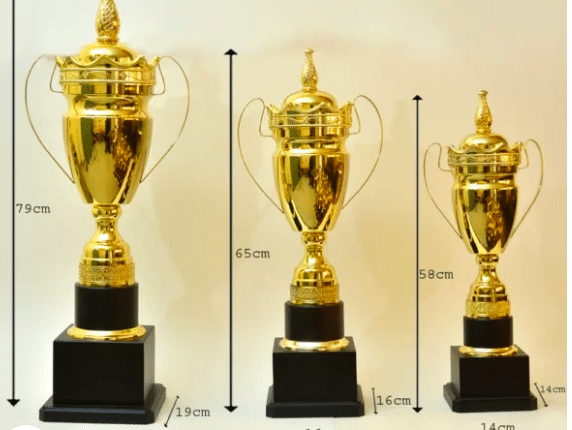 Best Employee Trophies