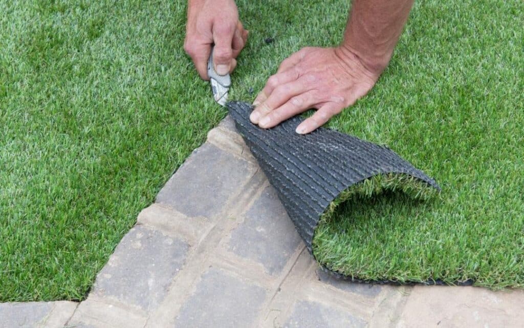 Turf Maintenance Service Manhattan