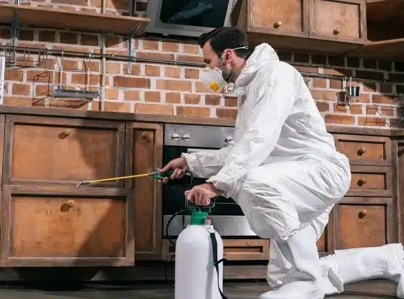 pest control richmond Hill