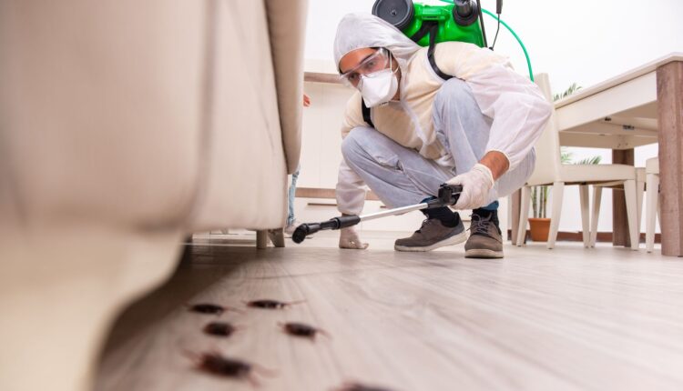 pest control services in Lahore