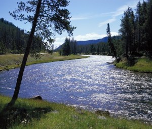 Yellowstone National Park