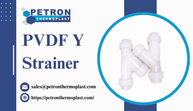 PVDF Y Strainer