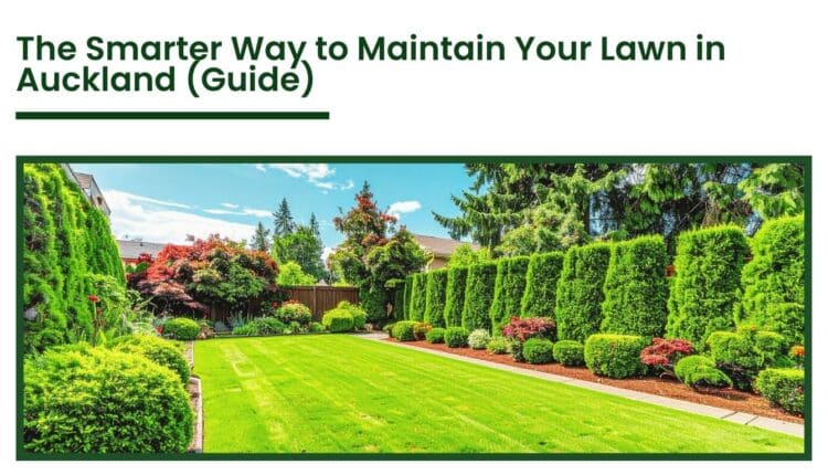 Well-maintained green lawn with trimmed hedges and landscaped garden in Auckland residential backyard