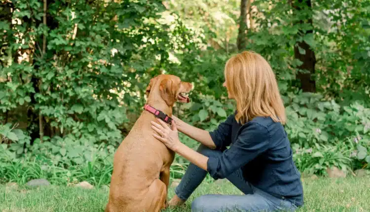 Best Animal Communicator