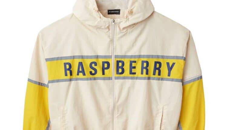 Raspberry Hill New Official Online Brands Modern Fashion Identity in the Digital Era