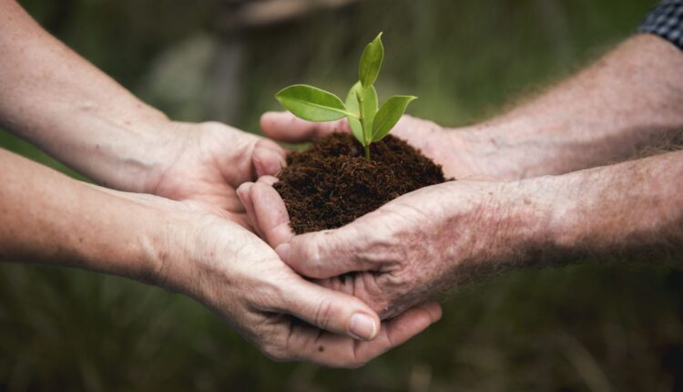 Florida Environmental Nonprofit Organization