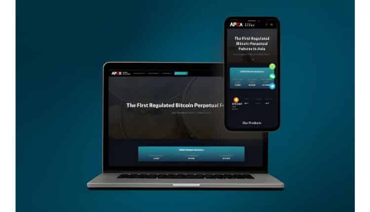 software development service