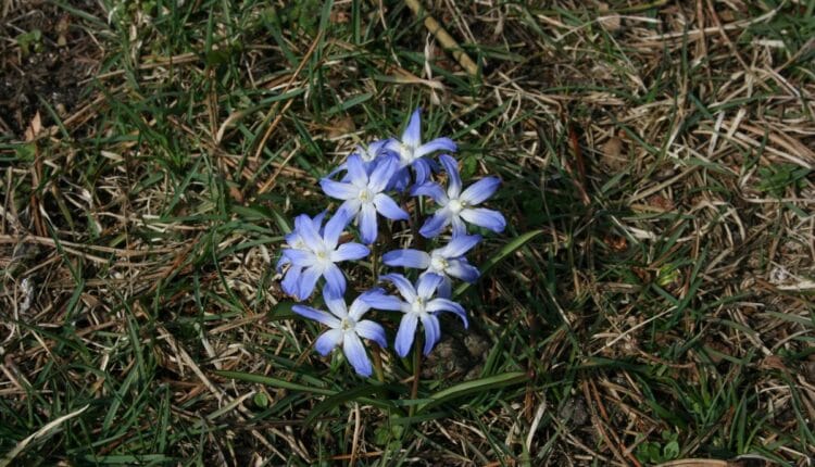 3 gartner tilbud frederiksværk