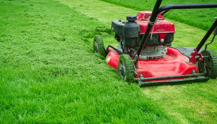 Landscaping Services