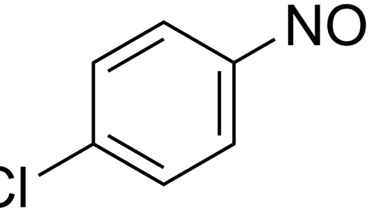 Para Nitrochlorobenzene (PNCB) Market