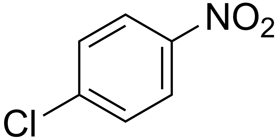 Para Nitrochlorobenzene (PNCB) Market
