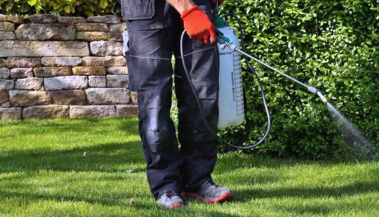 Pest Control High River