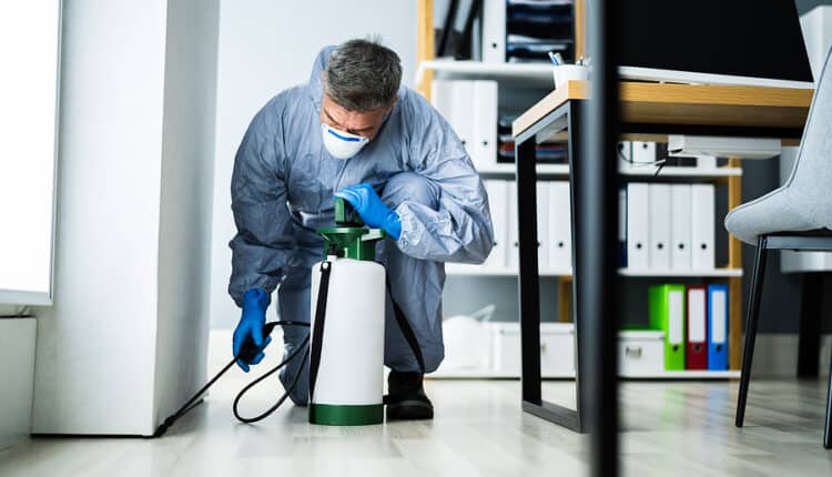 Pest Control Uxbridge