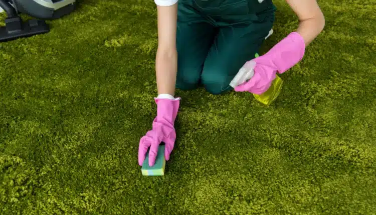 Turf Maintenance Service Manhattan