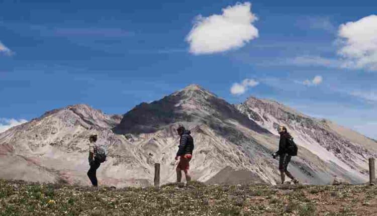 kilimanjaro trekking tours