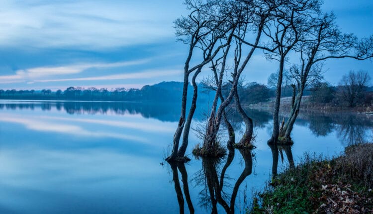 Søholm Sø - Fotograf Jesper Fried Vive, Odense