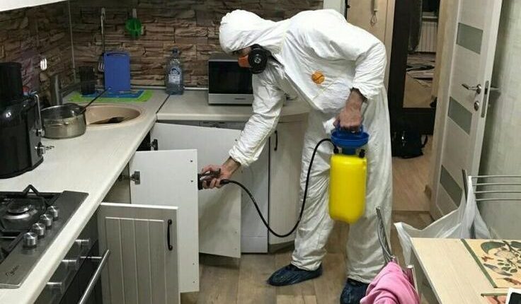 Trusted & Safe Pest Control Manotick Ontario | SG Pest Control